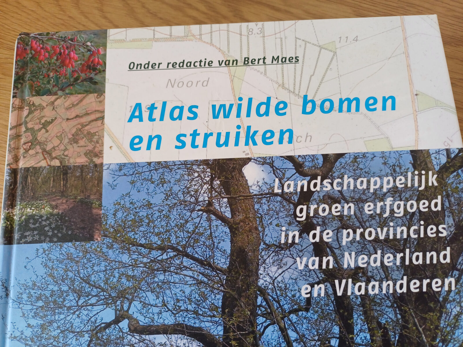 Atlas wilde bomen en struiken - Bert Maes en anderen.
