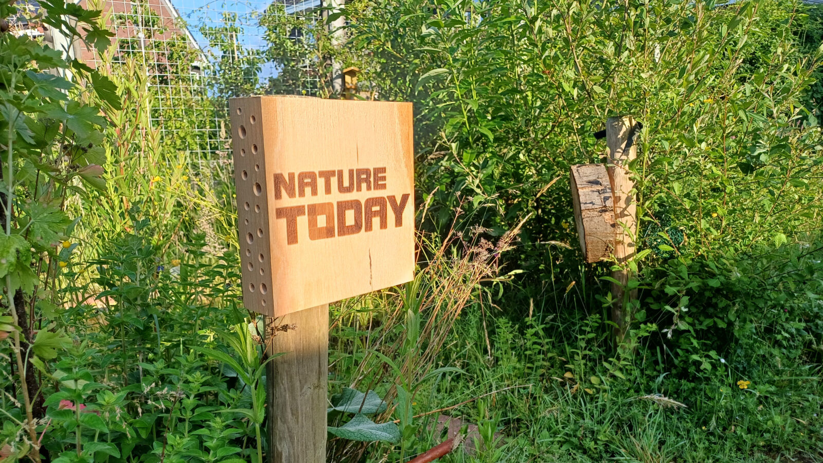 Proefmodel beukenhouten bijenhotel